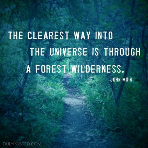 The Clearest Way Into The Universe Is Through A Forest