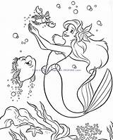 Coloring Pages Mermaid Little Disney Princess Ariel Print Characters Flounder Year Coloringtop sketch template
