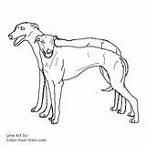 Coloring Greyhound Pages Dog Pair Color Greyhounds Printable Own Drawings Kids Getcolorings sketch template