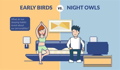 Early Birds Vs Night Owls Sleepopolis