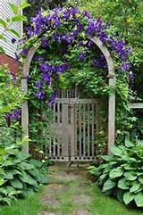 Pictures of Garden Arbors With Gates