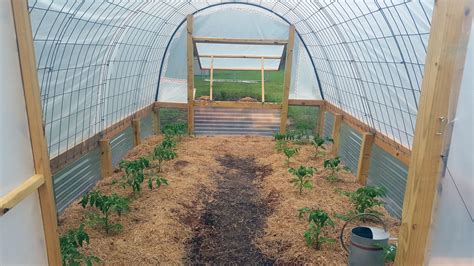 build  cattle panel greenhouse