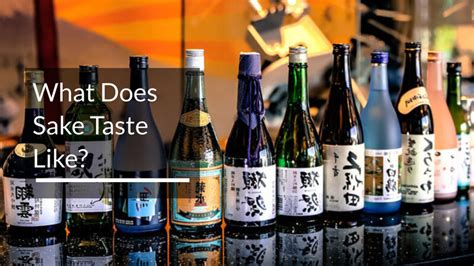 sake taste   beginners guide   taste  sake