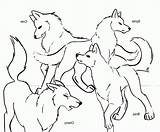Coloring Pages Baby Wolves Wolf Print Cute Printable Comments Coloringhome Template sketch template