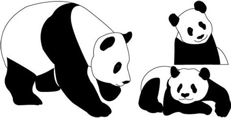 panda bear outline print stencils  vector   files