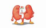 Images of Chronic Renal Failure Kidney Size