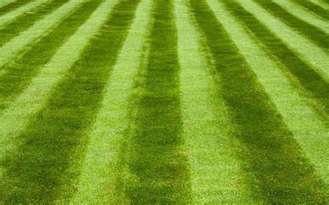 lawn striping guide pro tips    stripe pattern