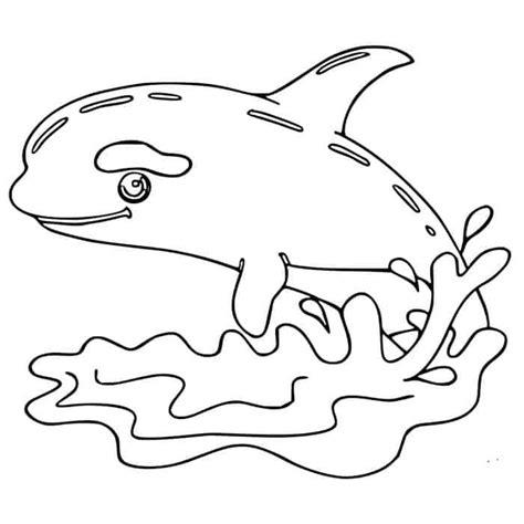 amazing whale coloring pages  print  coloring sheets