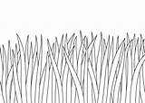 Grass Drawing Draw Easy Tutorial Different Drawings Step Beginner Ways Intermediate Tips Beginners Tutorials Tulip Large Bird sketch template