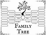 Genealogy sketch template