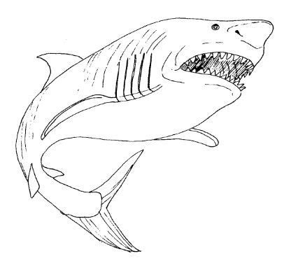 zombie shark coloring pages lets coloring  world