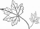 Leaf Coloring Printable Pages Draw Kids sketch template