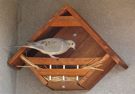 mourning dove birdhouse plans