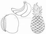 Fruits Coloring Mango Clipart Banana Illustration Preview sketch template