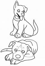 Puppies Puppy Kolorowanki Szczeniaki Bestcoloringpagesforkids Colouring Dzieci sketch template