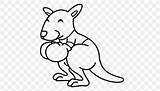 Boxing Coloring Kangaroo Pages Drawing Kids Books sketch template