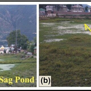 photographs showing  remnant  sag pond   fault scarp