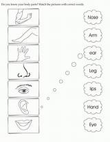 Parts Body Worksheets Match Kids Printable Worksheet Activity Coloring English Words Activities Pages Name Kindergarten Learning Correct Matching Preschool Human sketch template