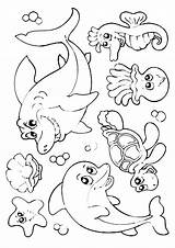 Otter Sea Coloring Baby Color Getcolorings Getdrawings sketch template