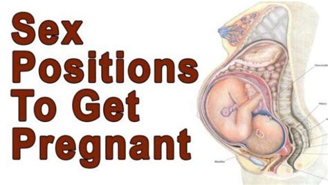 Get Pregnant Fast With These Tips Positions And Foods