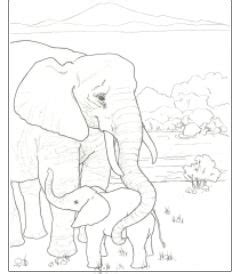 elephant small animal coloring pages  coloring pages coloring