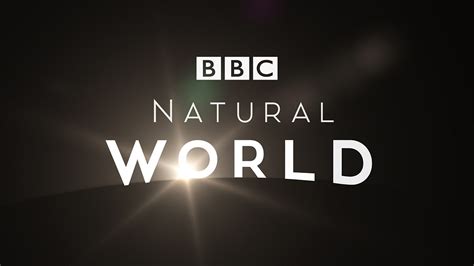 Bbc Two Natural World