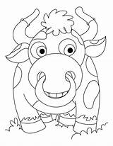 Coloring Bison Pages Popular Library Clipart Coloringhome Line sketch template