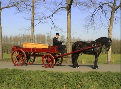 met paard en wagen wwwmemoriauitvaartzorgnl paarden fries paard begrafenis