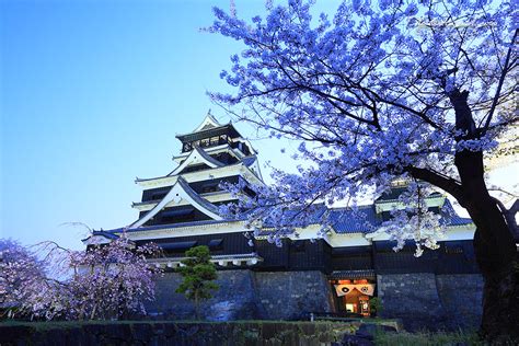 15 Reasons To Visit Japan Freeones Board The Free Munity