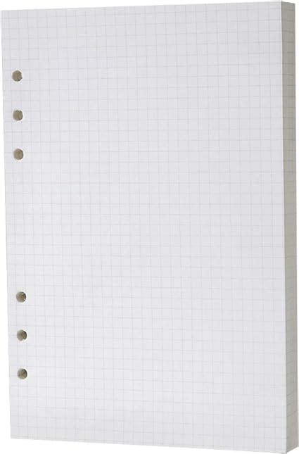 grid loose leaf notebook paper  hole punched college ruled paper