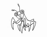 Mantis Religiosa Mantide Deus Louva Colorir Colorare Europea Dibuix Acolore Insectos Dibuixos sketch template