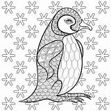 Zentangle Penguin Snowflakes Pinguin Malvorlagen Ill Illustartion Schneeflocken König Kranke Farbtonseite sketch template