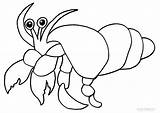 Crab Hermit Coloring Pages Printable Sea Crabs Activities Cartoon Kids Cool2bkids Sheets Template Color Drawing Getdrawings sketch template