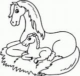 Preschoolers Cavalos Cavallo Colorat Cai Shire Paarden Kleurplaat Planse Paardjes Kleurplaten Pony Clydesdale Topkleurplaat sketch template