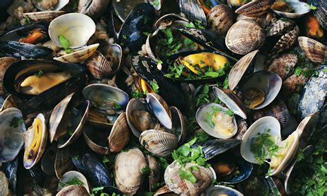 Nigel Slater S Clam And Mussel Recipes Life And Style The Guardian