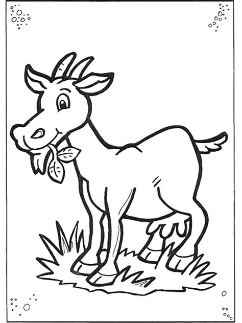 goat coloring pages