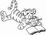 Tiger Tigre Leitura Lectura Tigers Wild Dibujosonline Colorironline sketch template