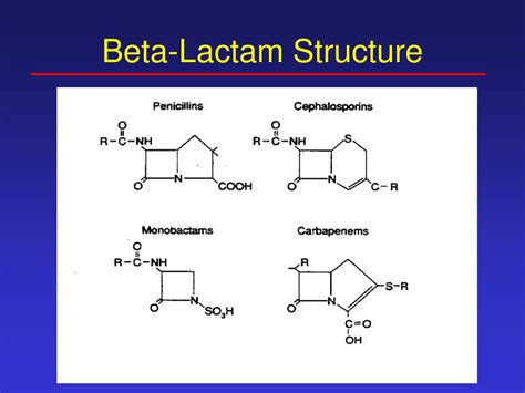 beta lactam antibiotics powerpoint