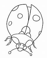 Ladybug Coloring Print Pages Color Button Click sketch template