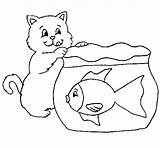 Gato Gatto Pez Peixe Pesce Poisson Gatitos Gatinhos Stampare Gatti Fofos Gatinho Dibuixos Mirando Colorier Disegnare sketch template