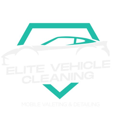 home elite vehicle cleaning