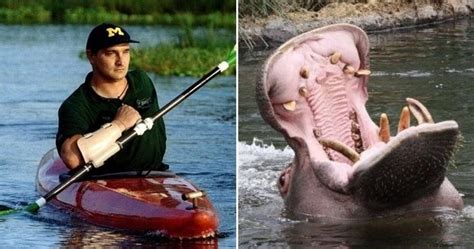 guy survives being swallowed by a hippo three times