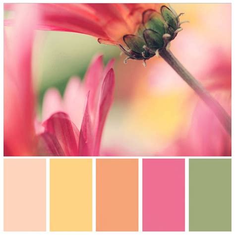wonderful spring color palette collections  home