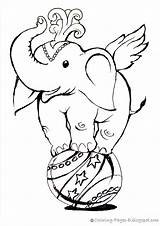 Coloring Pages Elephant Circus Ball sketch template