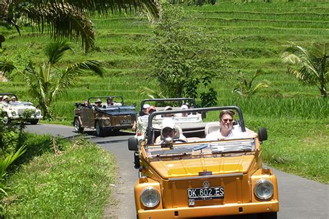 bali safari tours home find  perfect jeep