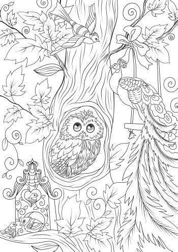 birds   tree favoreads coloring club