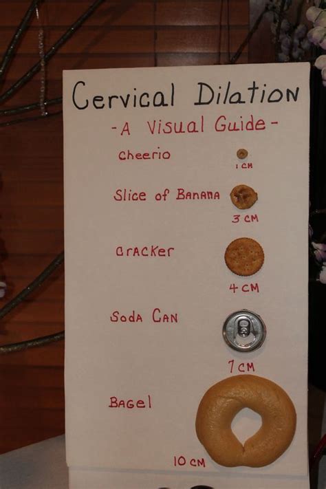 cervical dilation chartwow graduation pinterest charts