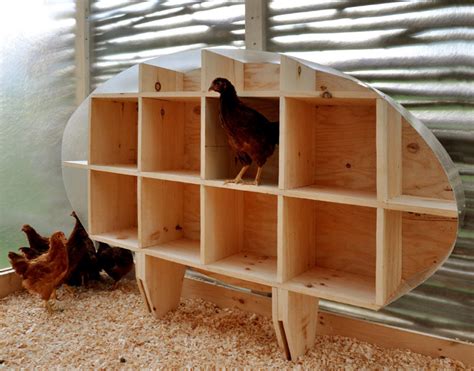 building  diy chicken nesting boxes  plans  ideas  poultry guide