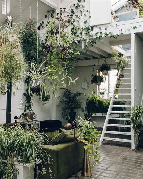 green interior dreams   visit   great space urban gardening pinterest spaces