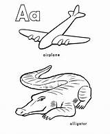 Alligator Airplane Cases Coloringhome sketch template